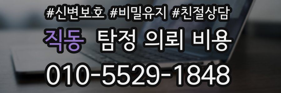 직동 탐정 의뢰 비용