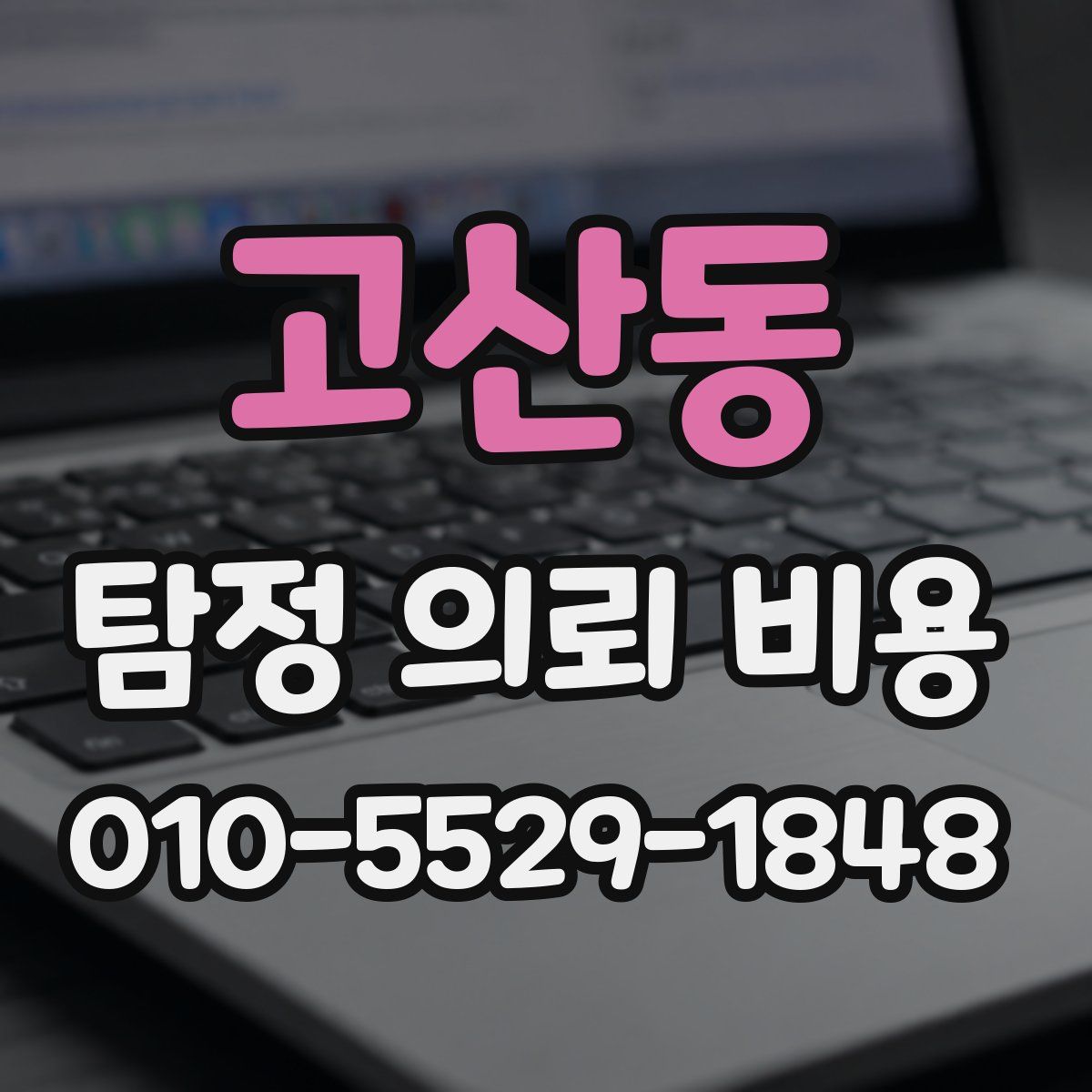 고산동 탐정 의뢰 비용
