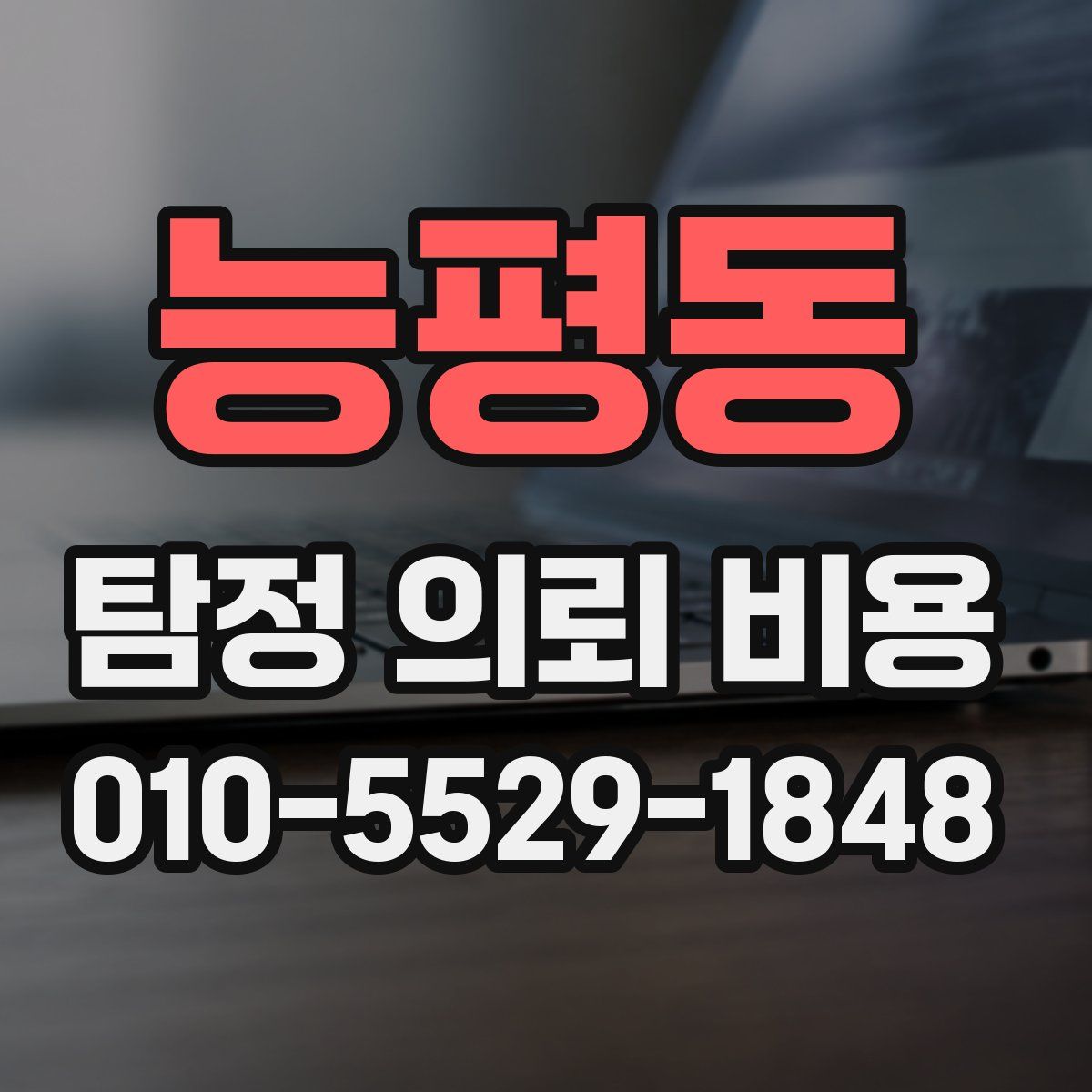 능평동 탐정 의뢰 비용