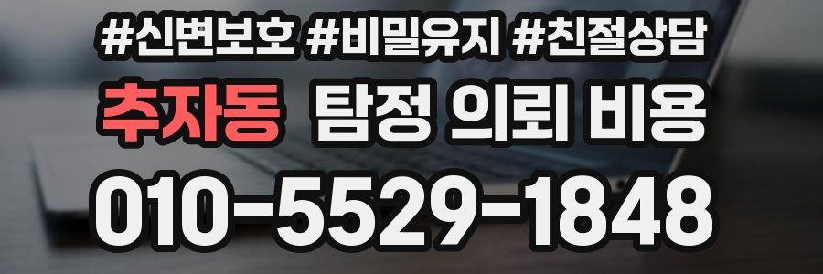 추자동 탐정 의뢰 비용