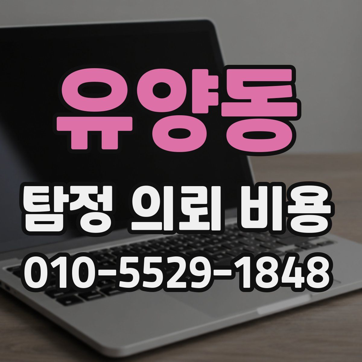 유양동 탐정 의뢰 비용