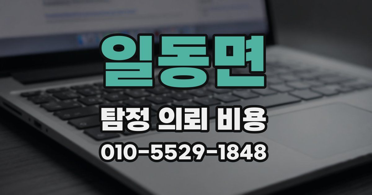 일동면 탐정 의뢰 비용