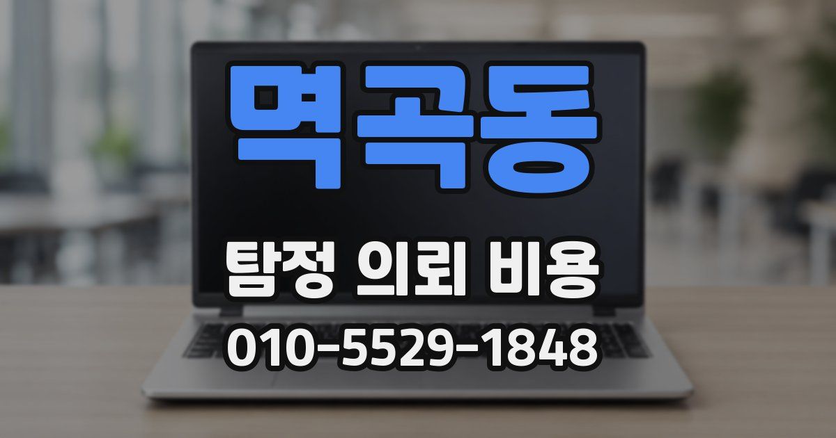 멱곡동 탐정 의뢰 비용