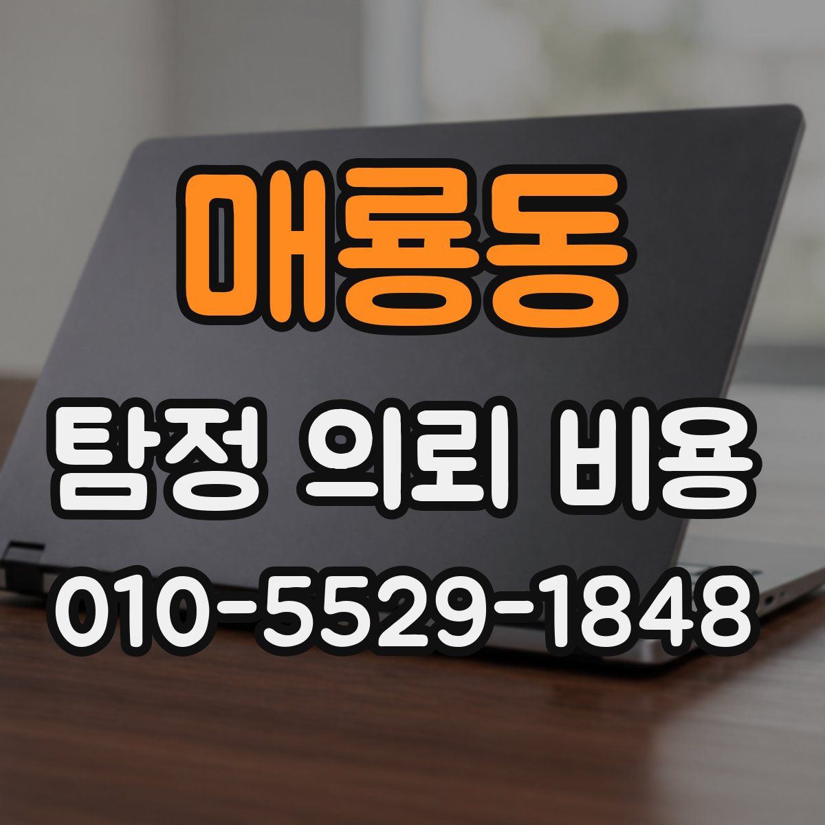 매룡동 탐정 의뢰 비용