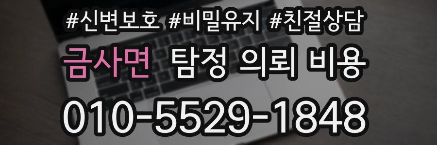 금사면 탐정 의뢰 비용