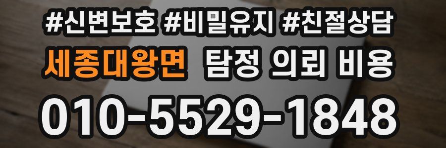 세종대왕면 탐정 의뢰 비용