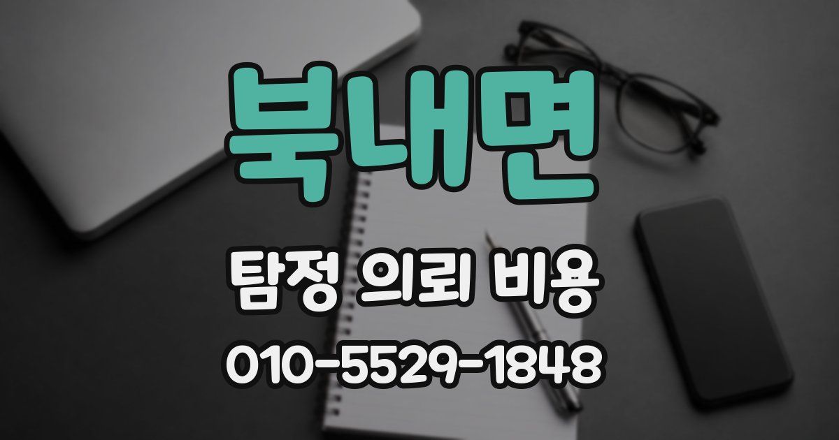 북내면 탐정 의뢰 비용