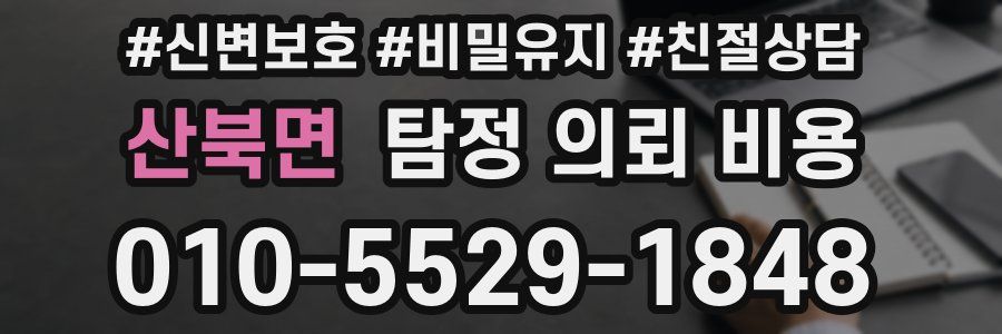 산북면 탐정 의뢰 비용