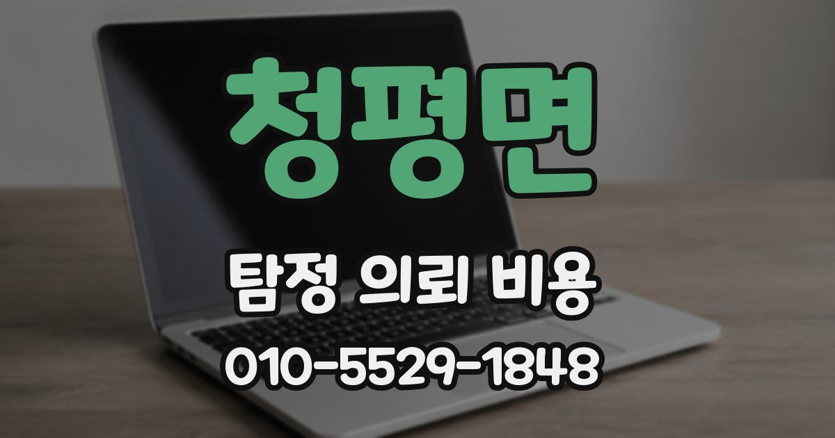 청평면 탐정 의뢰 비용