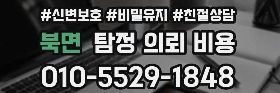 북면 탐정 의뢰 비용