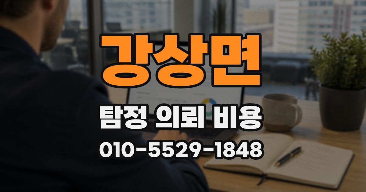 강상면 탐정 의뢰 비용