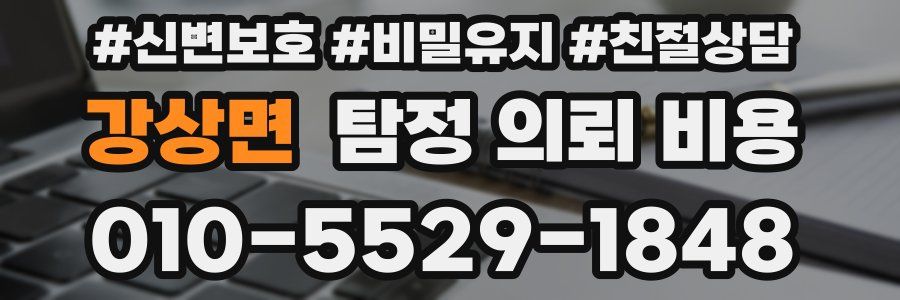 강상면 탐정 의뢰 비용