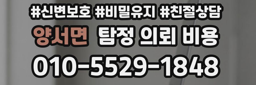 양서면 탐정 의뢰 비용