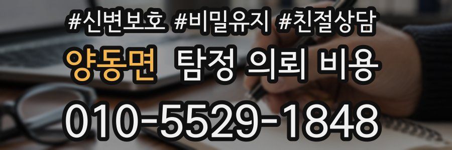 양동면 탐정 의뢰 비용