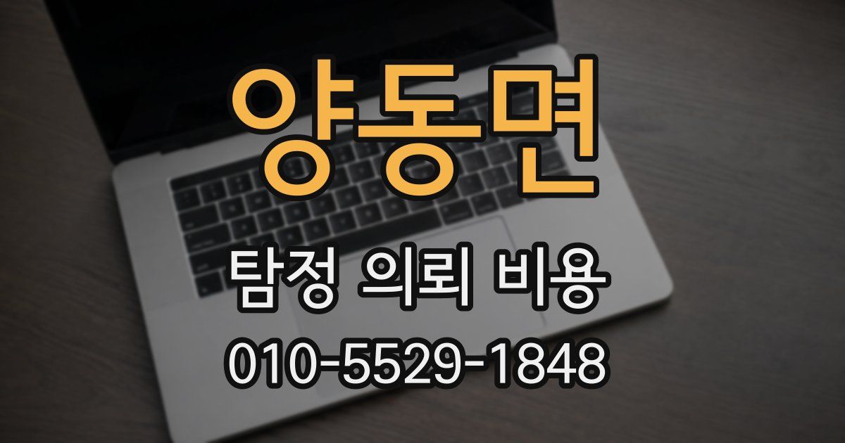 양동면 탐정 의뢰 비용