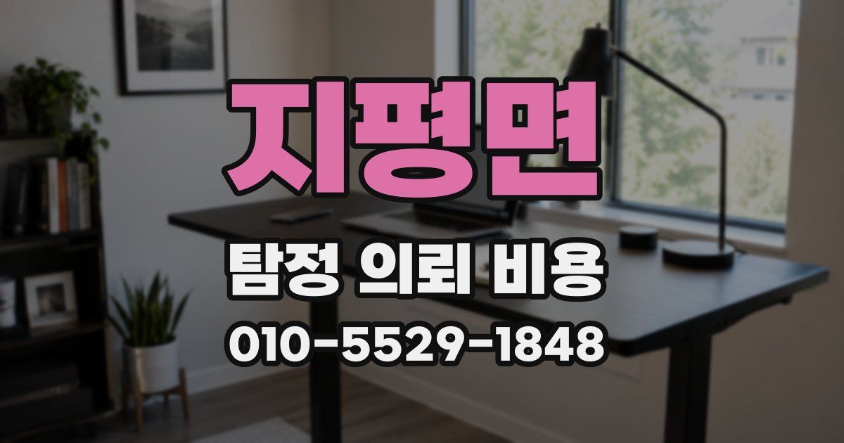 지평면 탐정 의뢰 비용