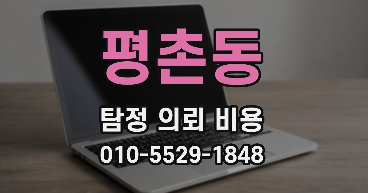 평촌동 탐정 의뢰 비용
