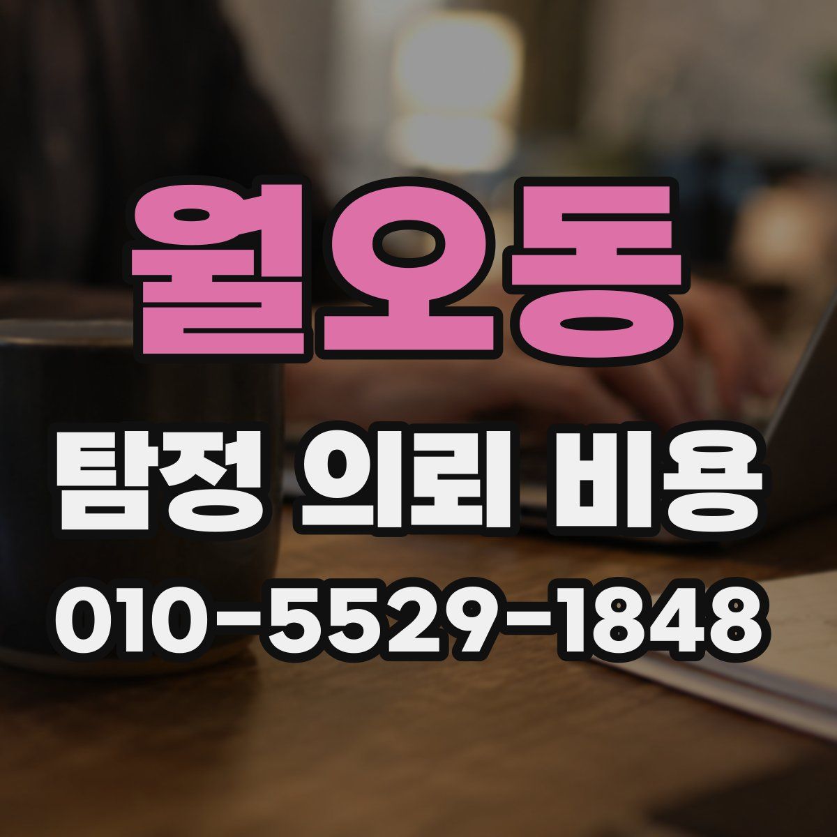 월오동 탐정 의뢰 비용