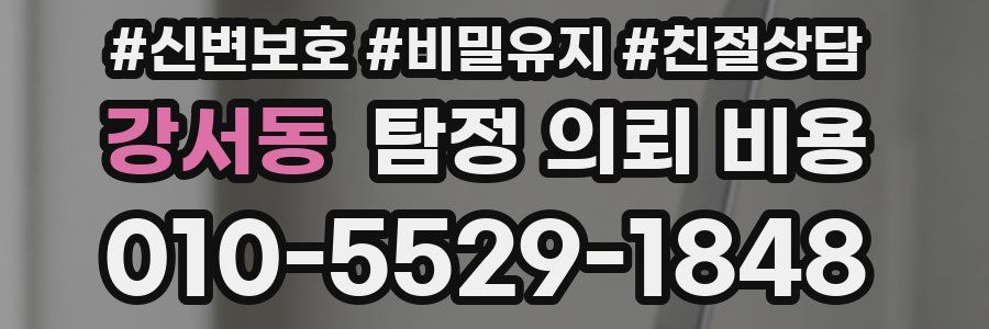 강서동 탐정 의뢰 비용