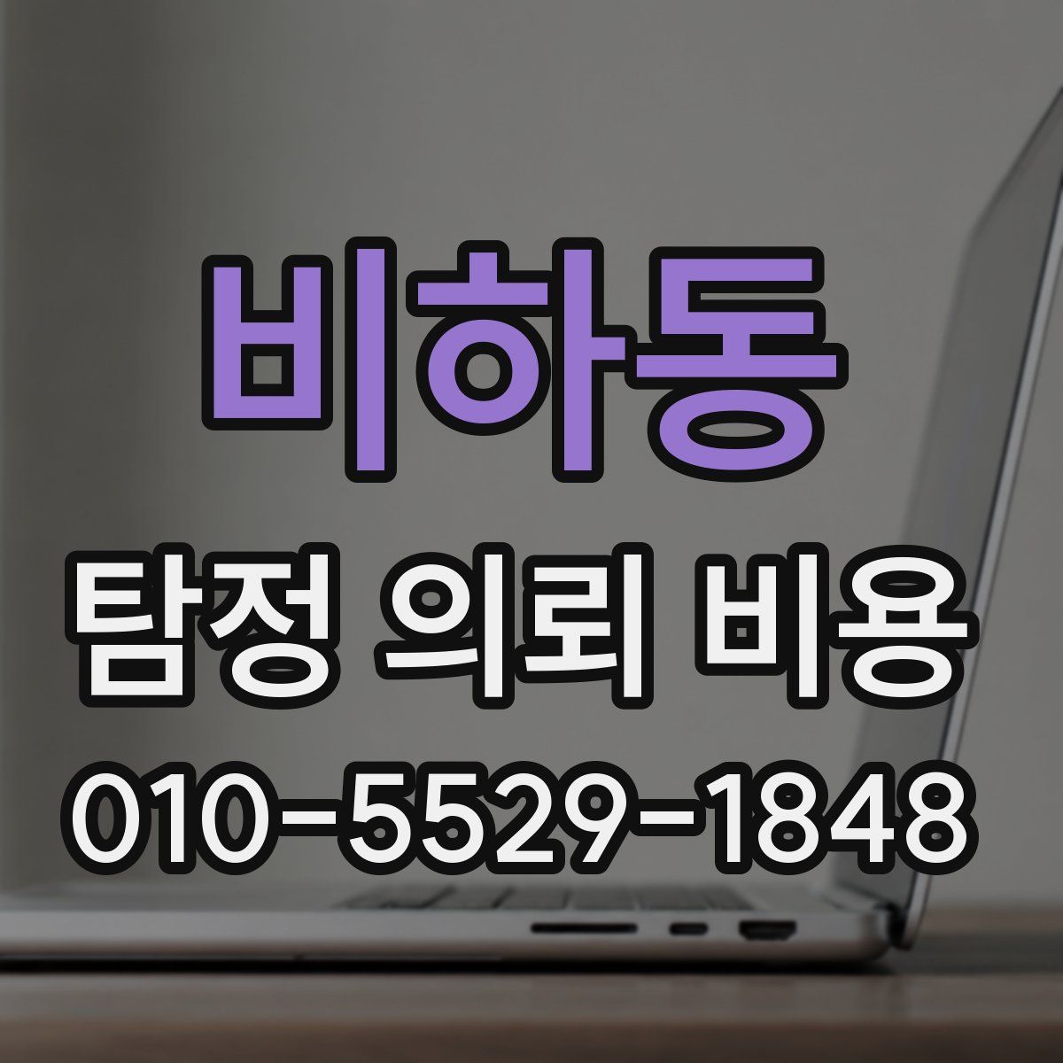 비하동 탐정 의뢰 비용