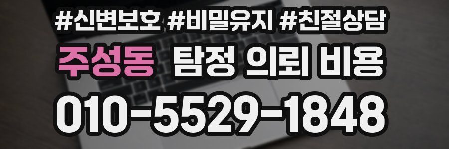 주성동 탐정 의뢰 비용