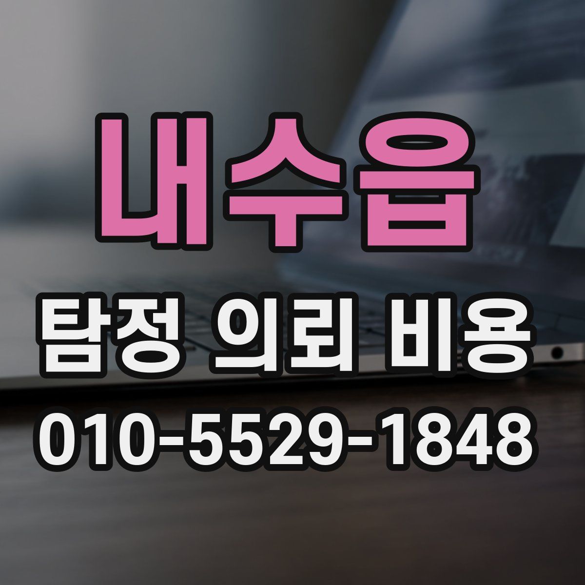 내수읍 탐정 의뢰 비용