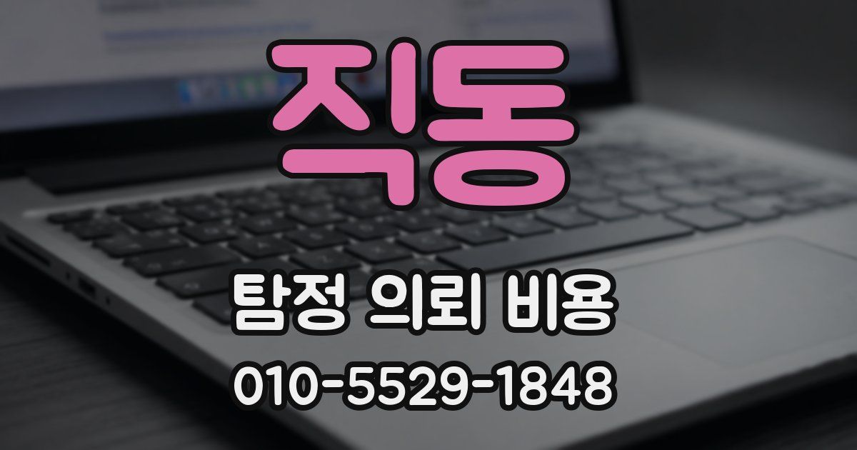 직동 탐정 의뢰 비용