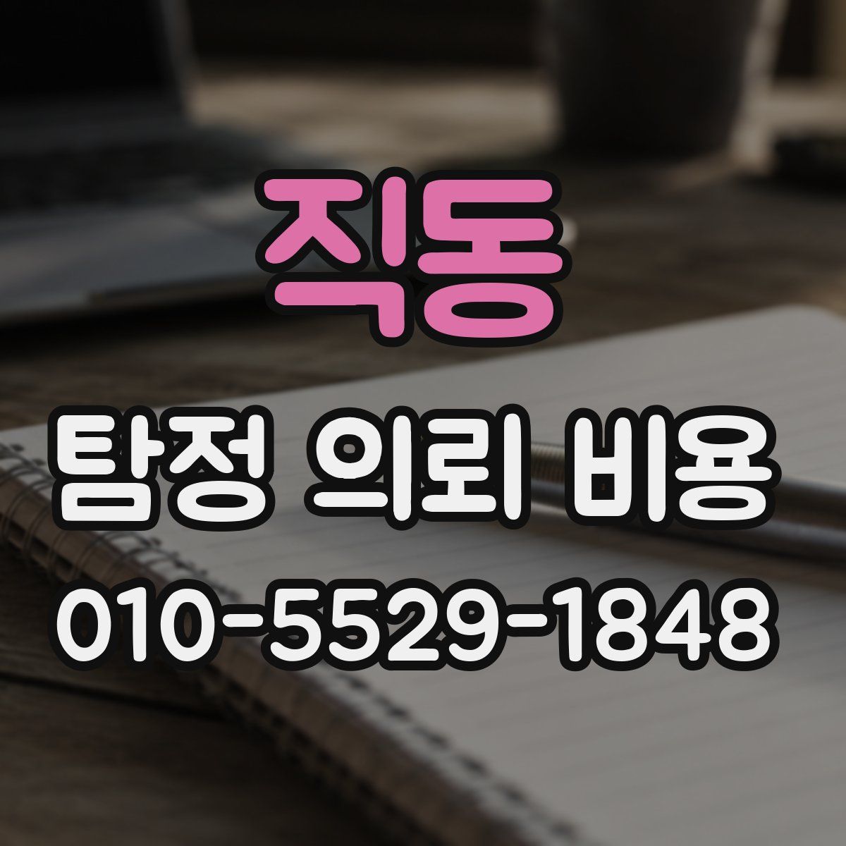직동 탐정 의뢰 비용