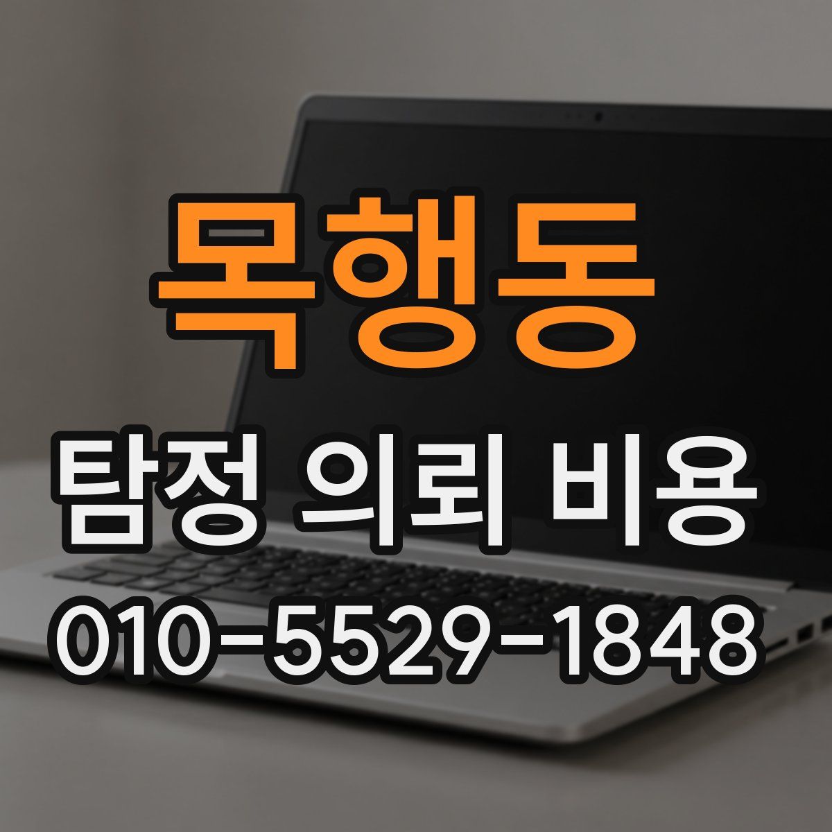 목행동 탐정 의뢰 비용