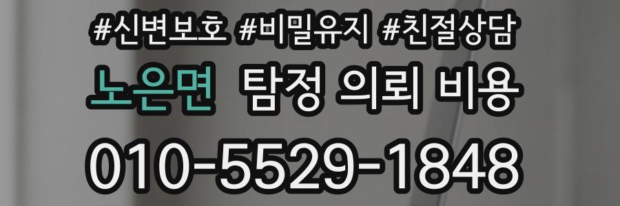 노은면 탐정 의뢰 비용