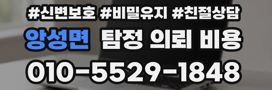 앙성면 탐정 의뢰 비용