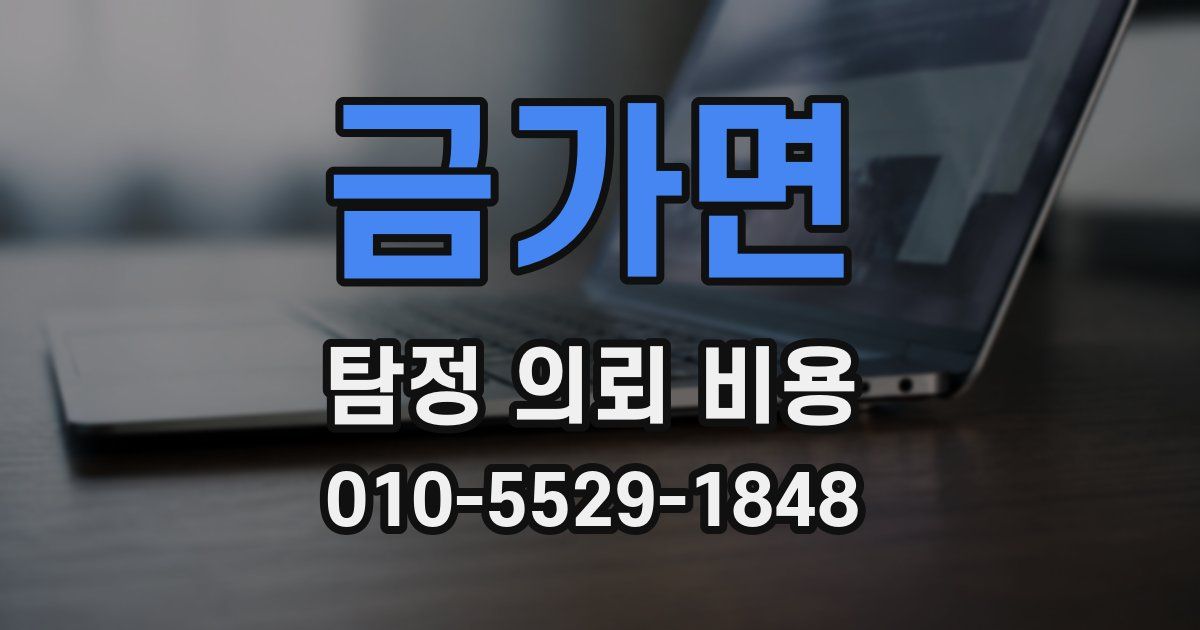 금가면 탐정 의뢰 비용