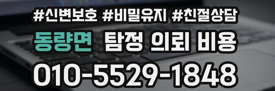 동량면 탐정 의뢰 비용