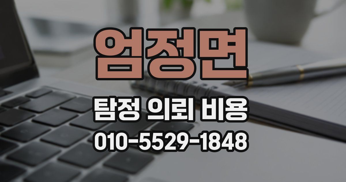 엄정면 탐정 의뢰 비용
