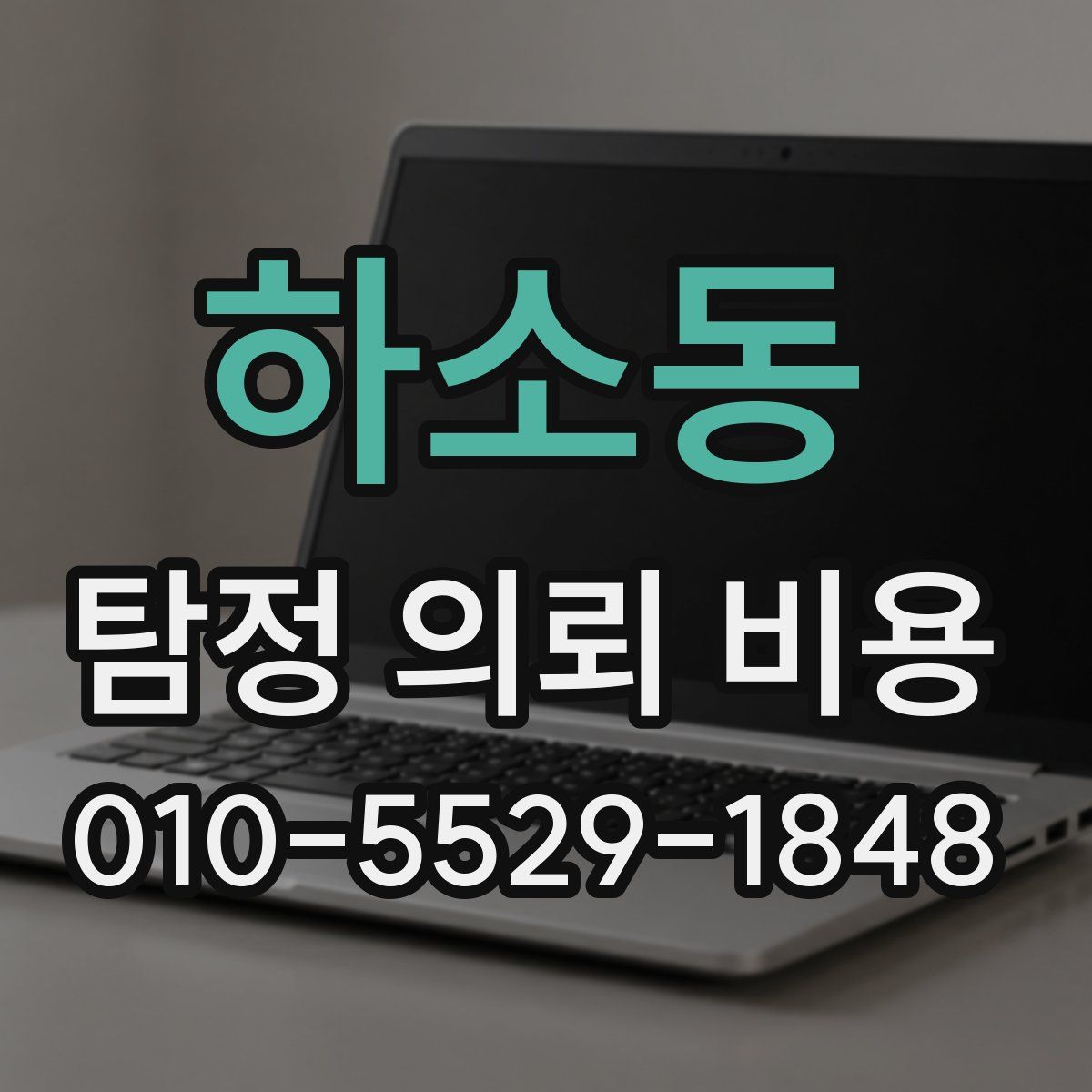 하소동 탐정 의뢰 비용