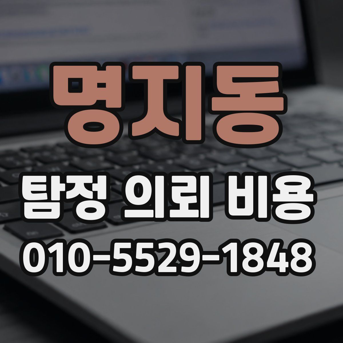 명지동 탐정 의뢰 비용