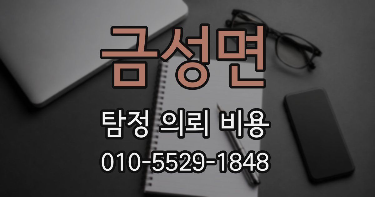 금성면 탐정 의뢰 비용