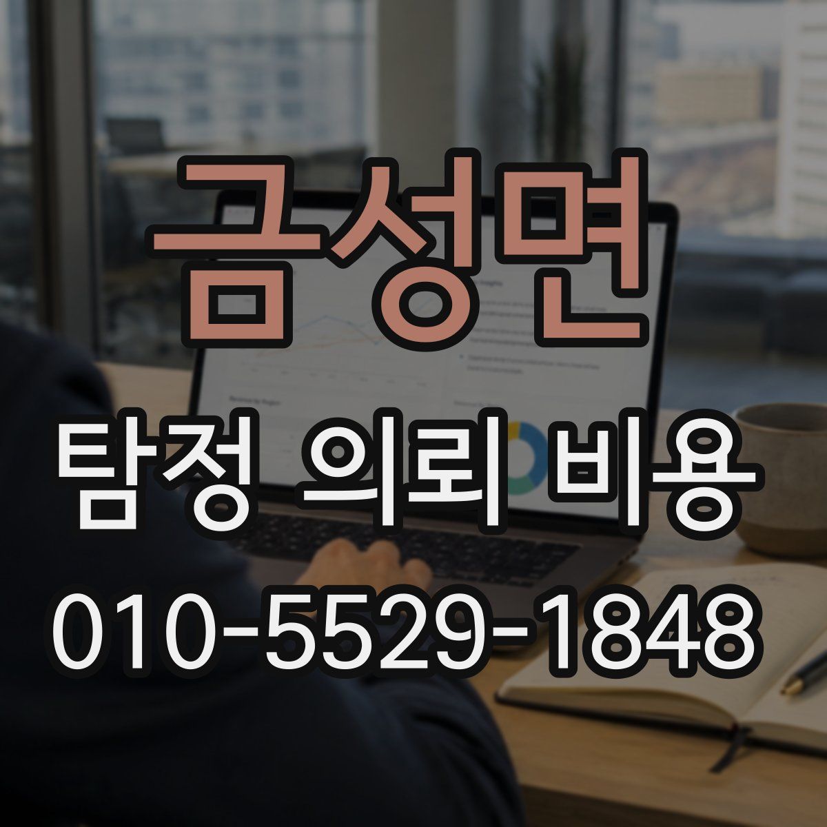 금성면 탐정 의뢰 비용