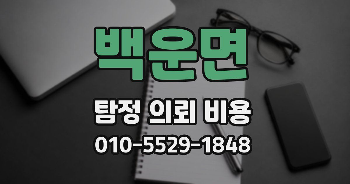 백운면 탐정 의뢰 비용