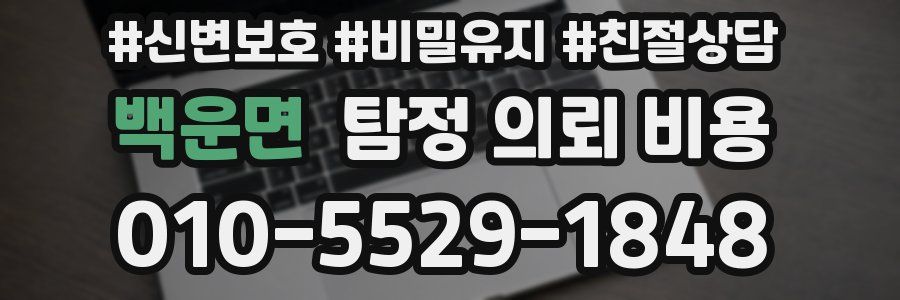 백운면 탐정 의뢰 비용
