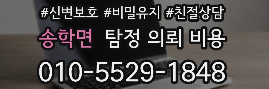 송학면 탐정 의뢰 비용