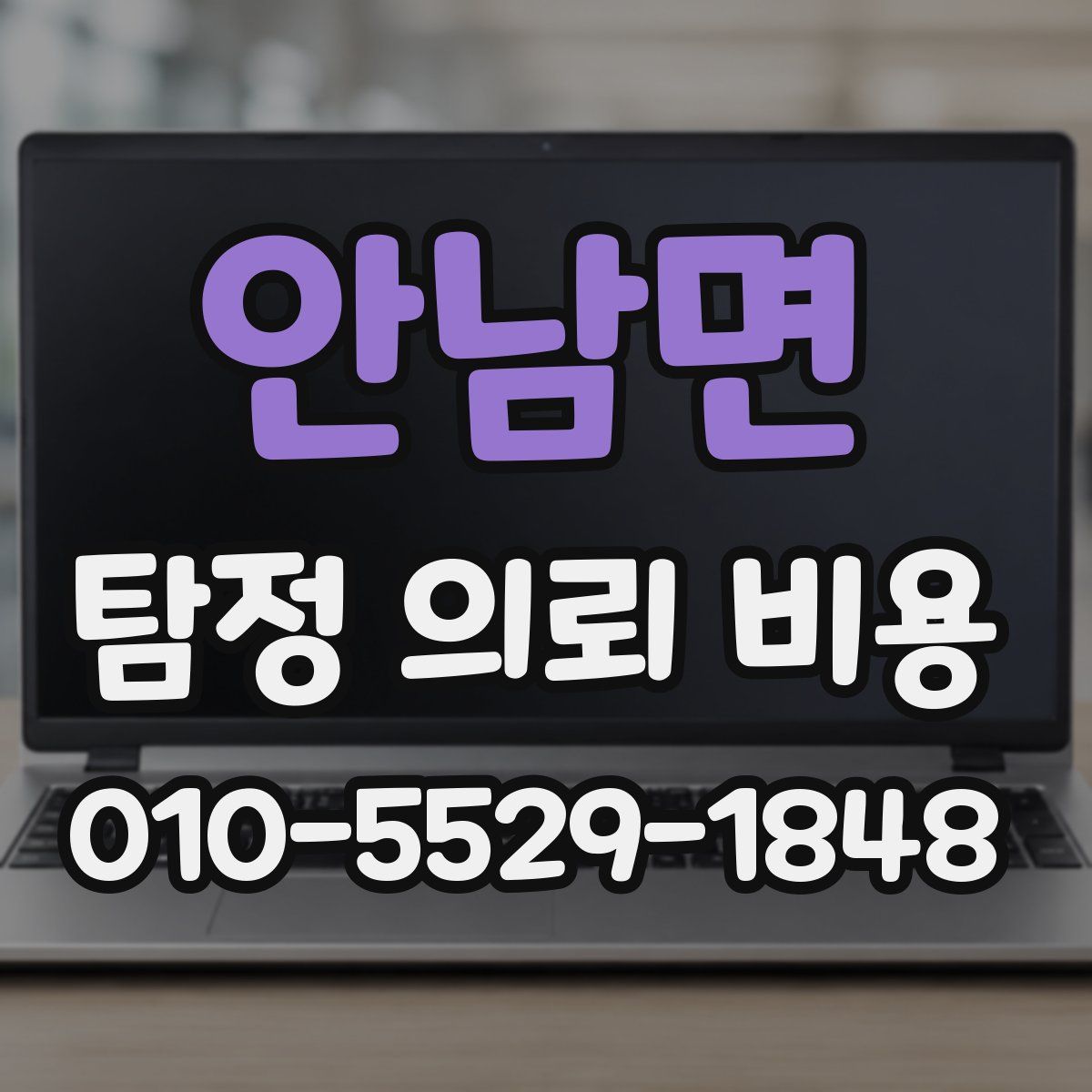 안남면 탐정 의뢰 비용
