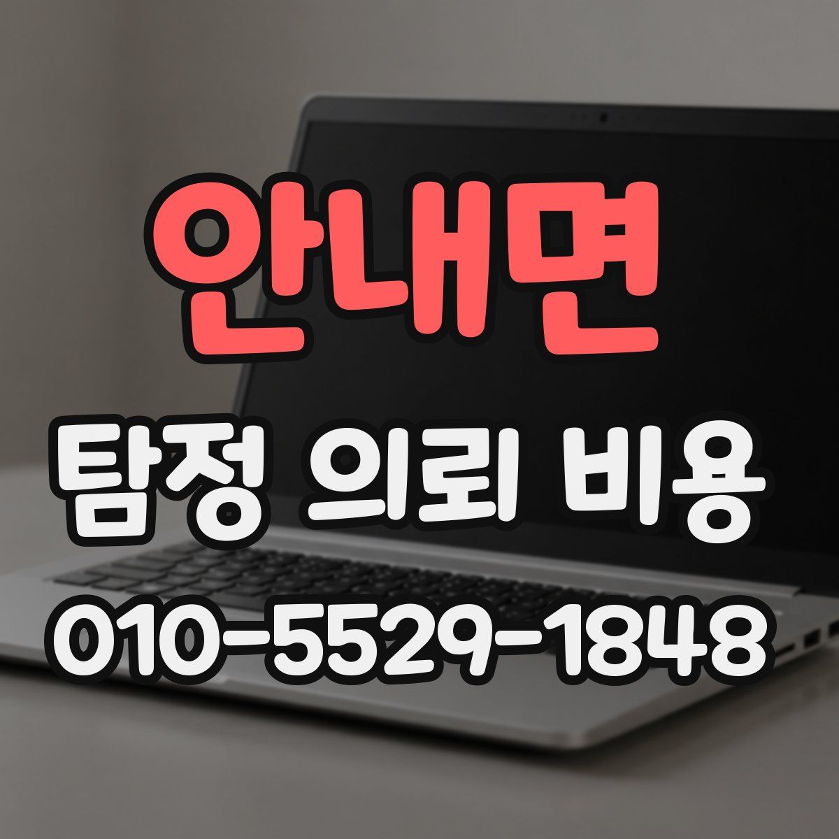 안내면 탐정 의뢰 비용