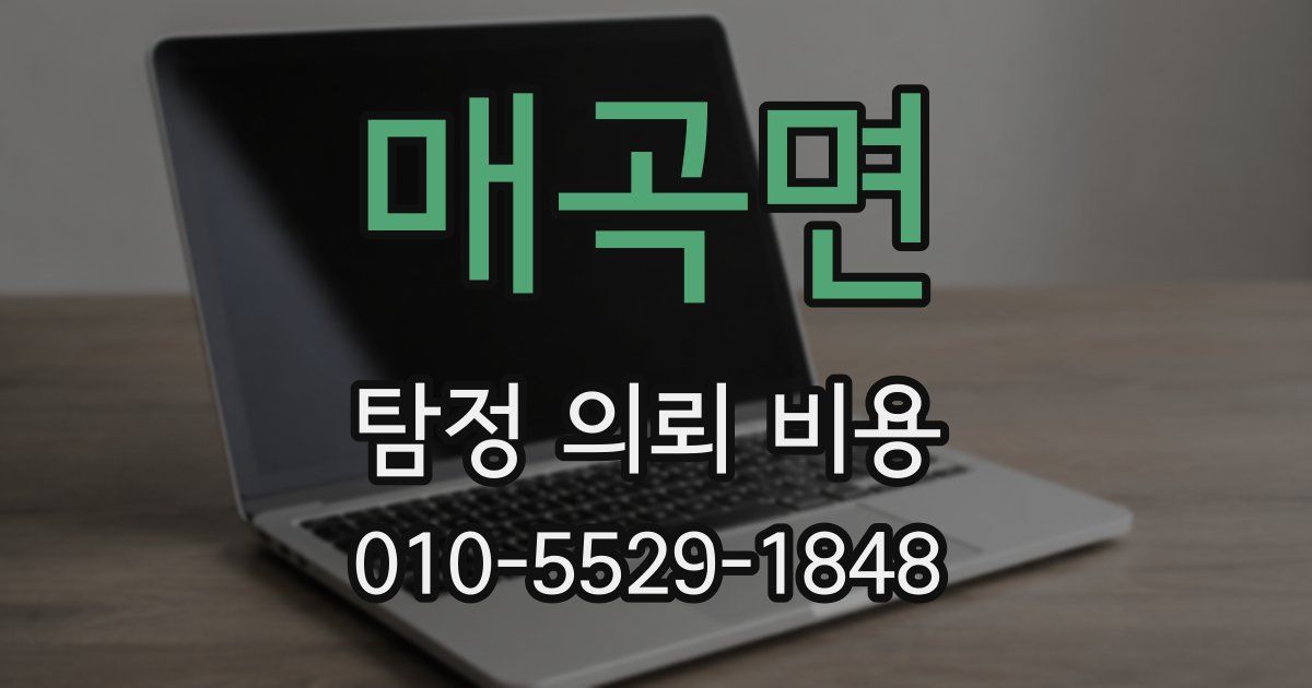 매곡면 탐정 의뢰 비용