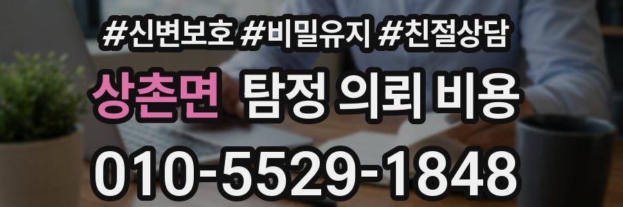 상촌면 탐정 의뢰 비용
