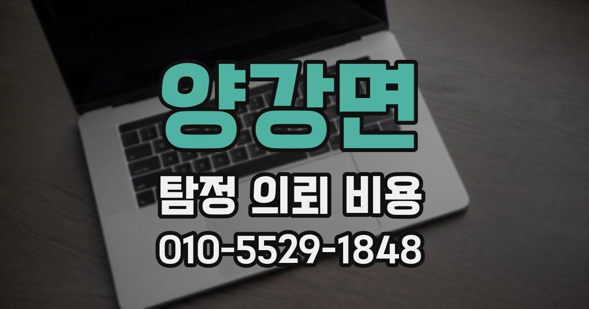 양강면 탐정 의뢰 비용