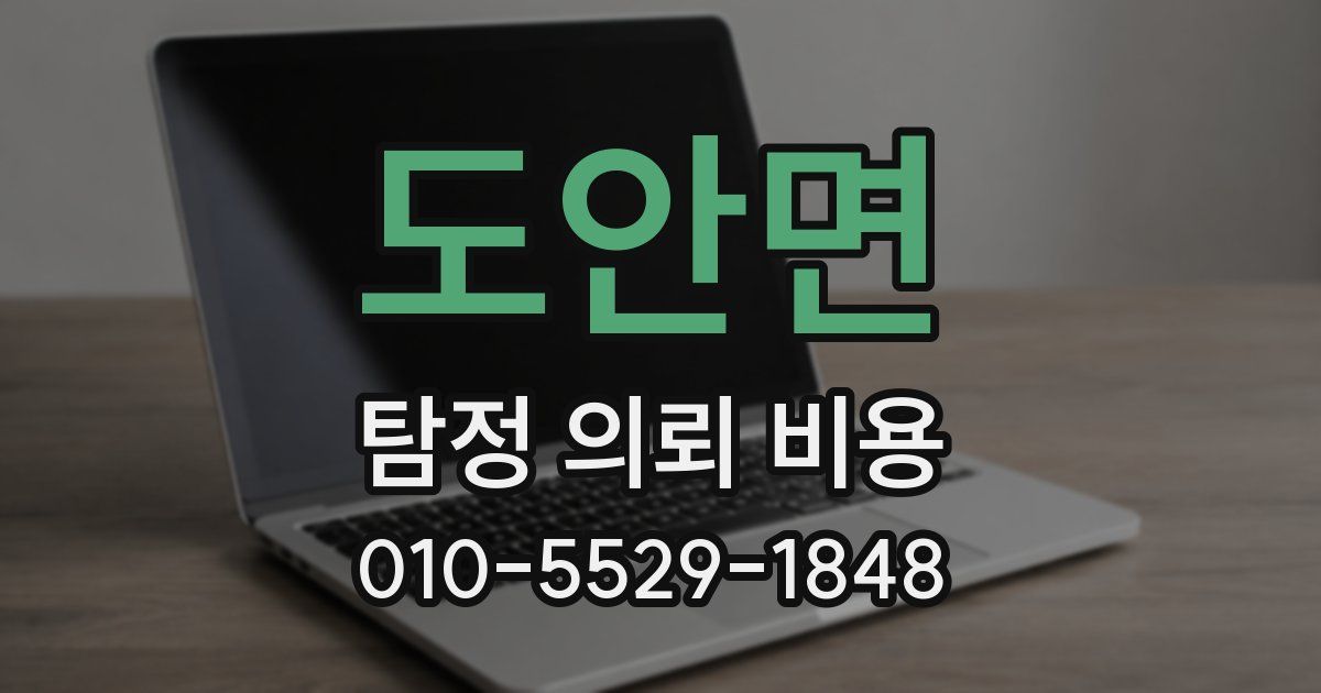 도안면 탐정 의뢰 비용