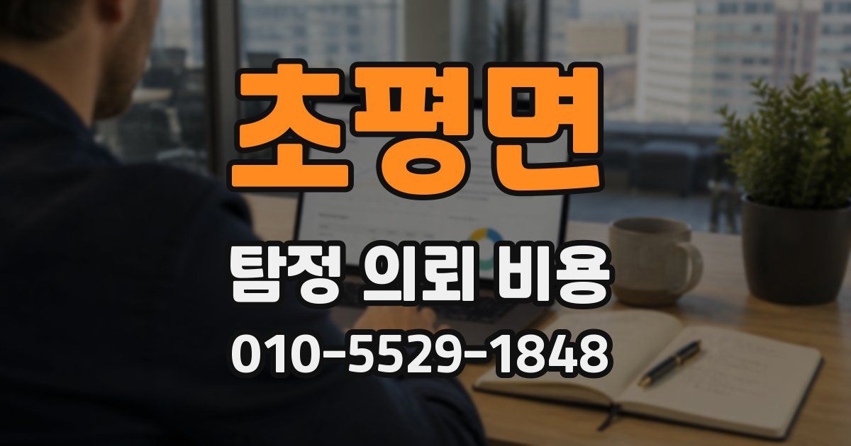 초평면 탐정 의뢰 비용