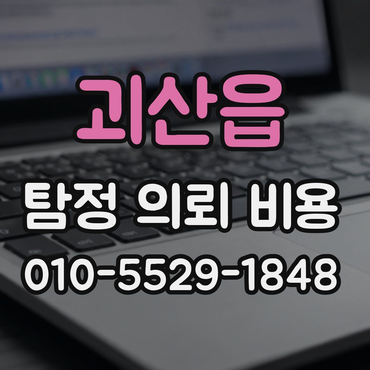 괴산읍 탐정 의뢰 비용
