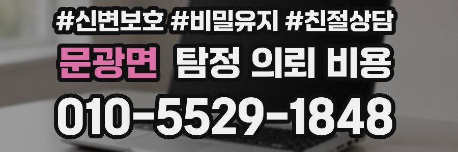 문광면 탐정 의뢰 비용